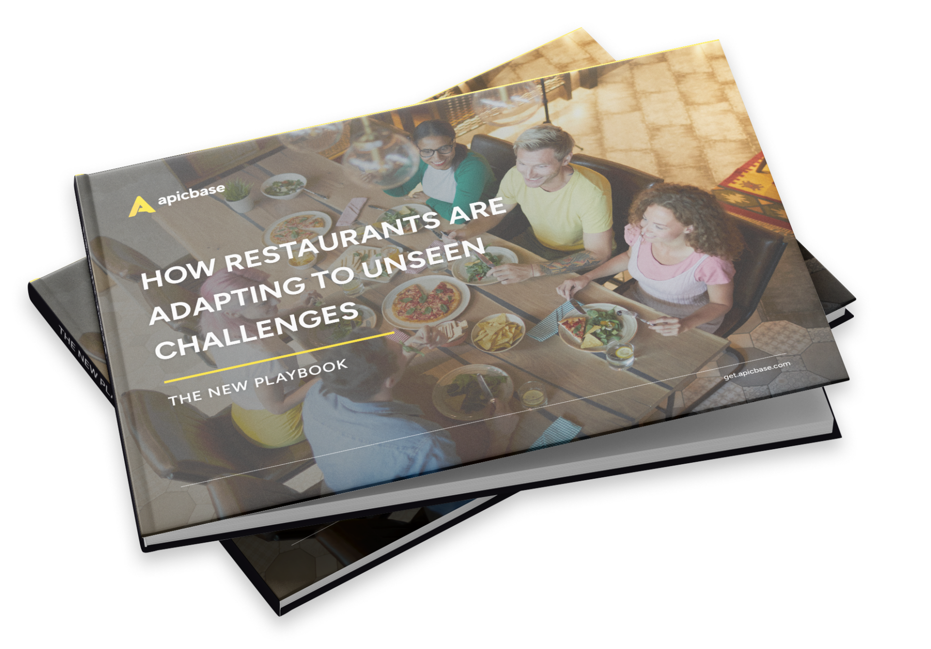 apicbase-der-neue-leitfaden