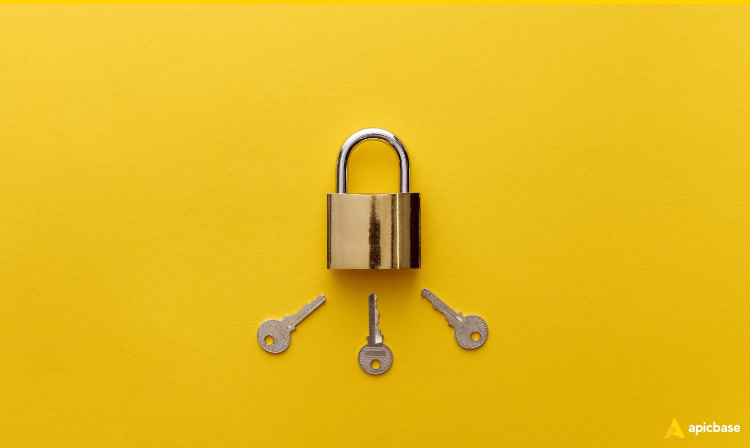 Apicbase cyber security Data Encryption, Access Controls & Audit Trails